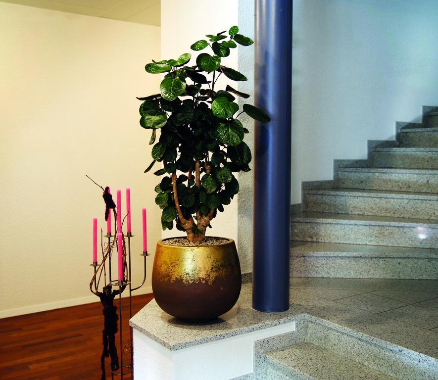 Hotel Garni Arnegg ภายนอก รูปภาพ